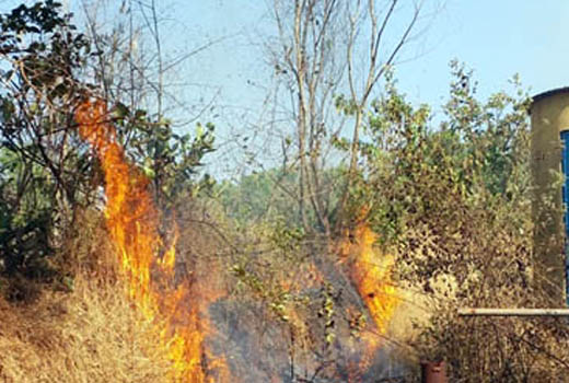 Fire tragedy 